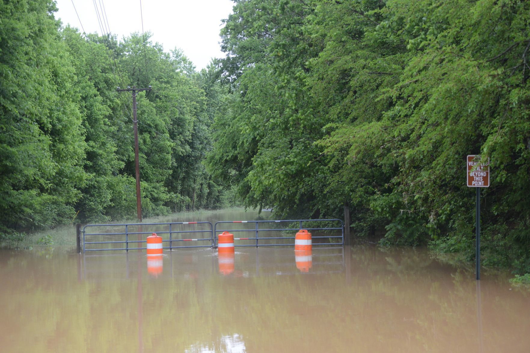 Flood